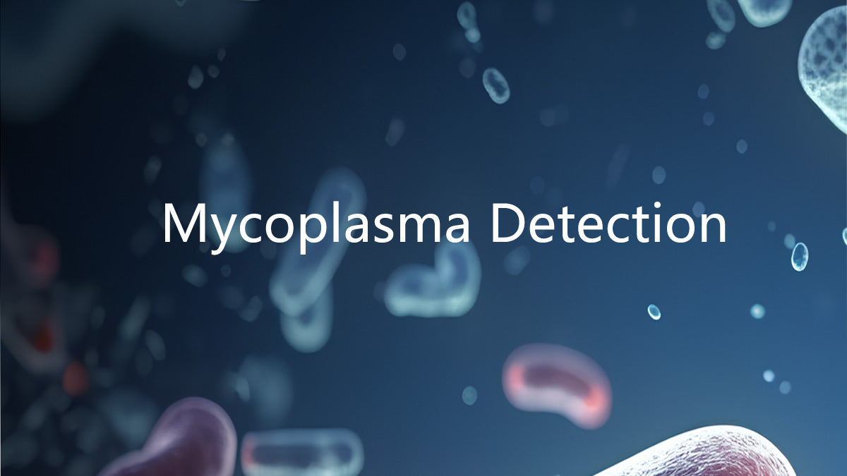 Mycoplasma qPCR detection and method validation contribute to the advancement of cell and gene therapy technology development