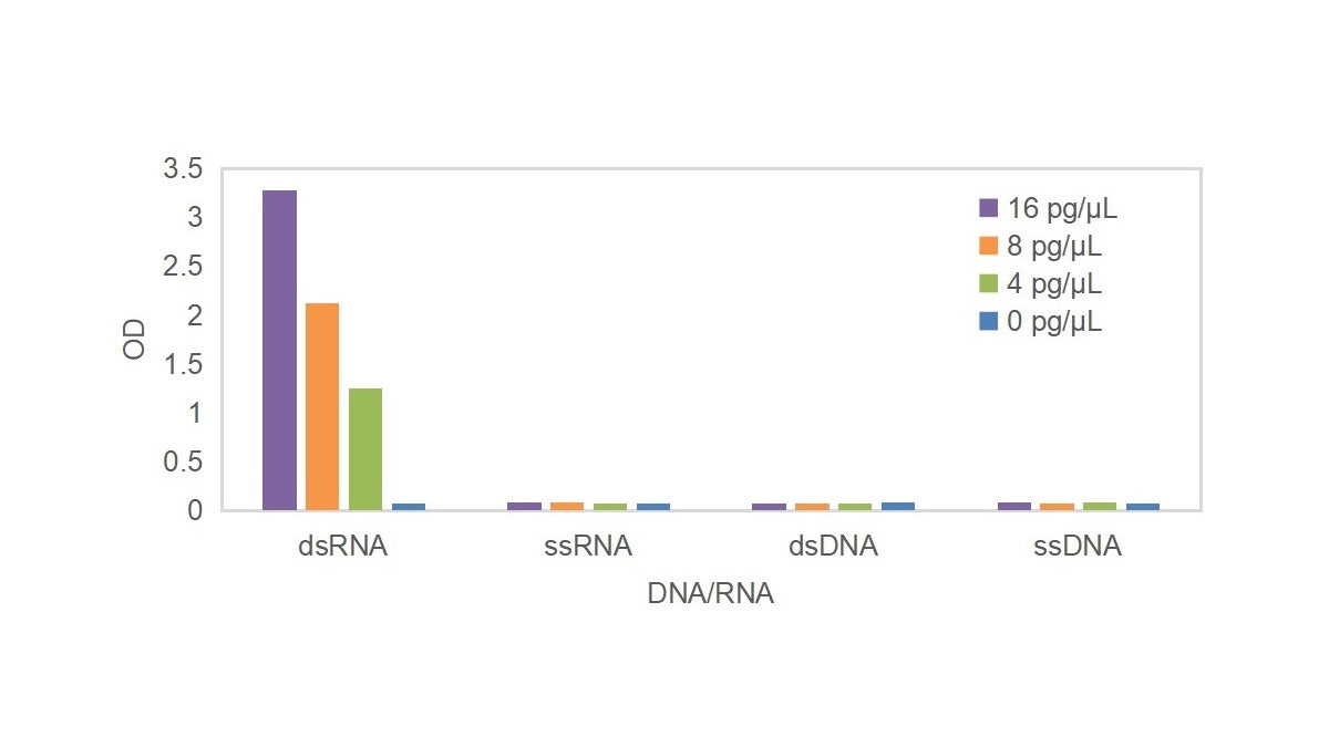 Sharing the Validation Report of the Double-stranded RNA (dsRNA) ELISA Kit to Promote the Standardization of dsRNA Detection.