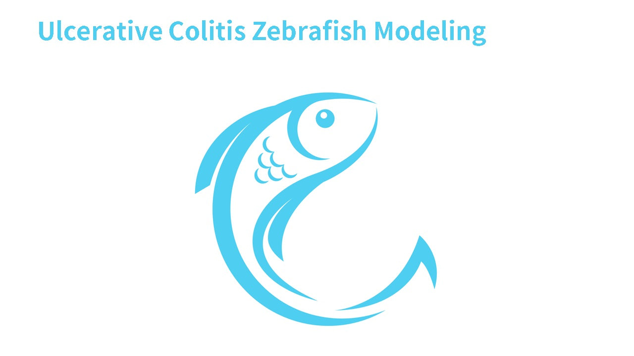 The protocol of Ulcerative Colitis Zebrafish Modeling using Dextran sodium sulfate (DSS)