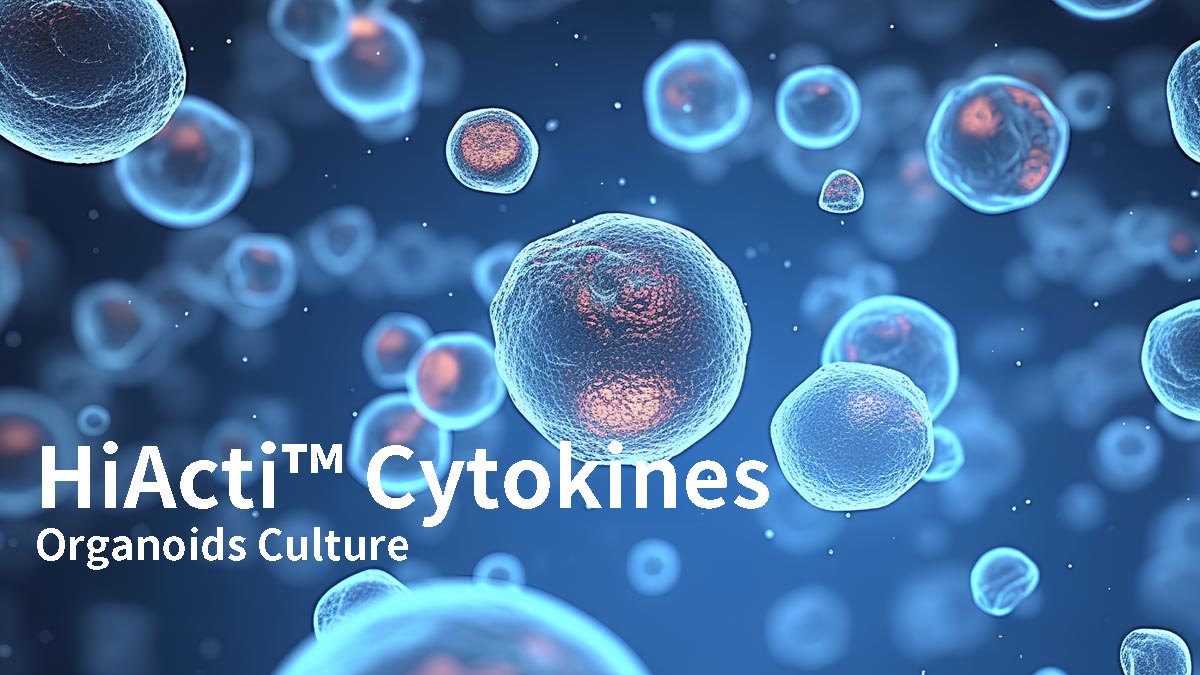 HiActi™ Cytokines Validated in Cultured Organoids