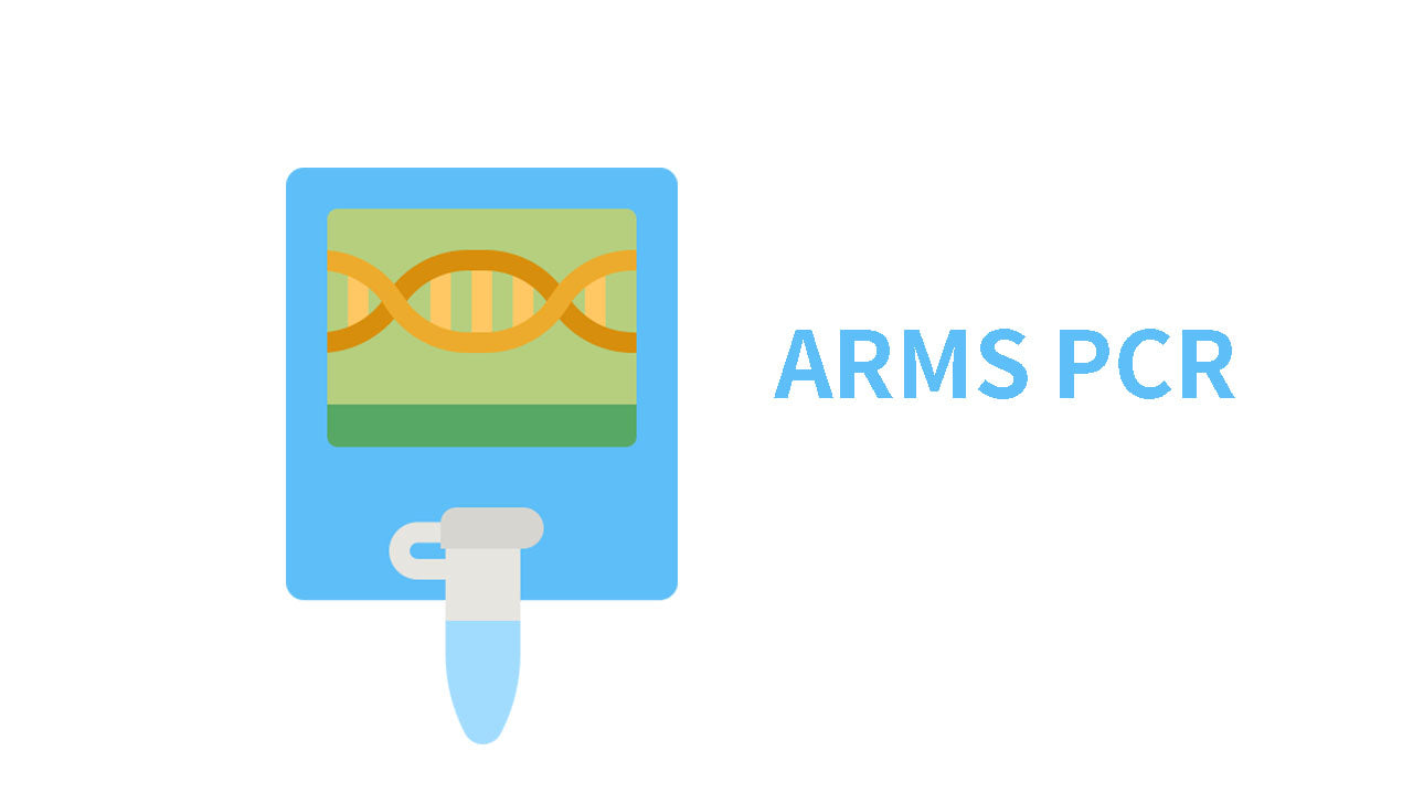 PCR methodology for accurate point mutation detection – ARMS