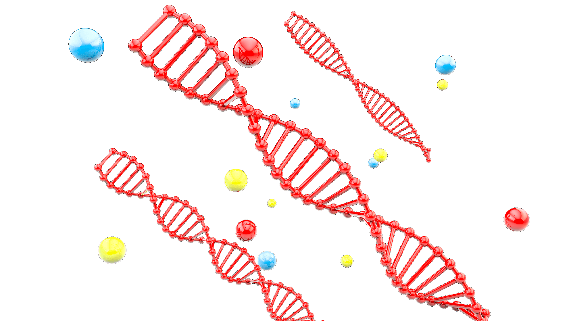 Solutions for Methylation Library Preparation
