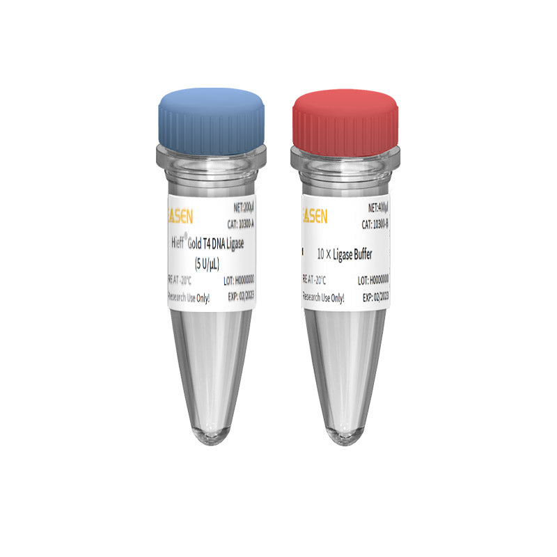 Hieff® Gold T4 DNA Ligase (5 U/μL) -10300ES