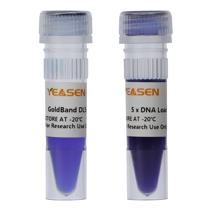 GoldBand™ 5000 DNA Marker -10504ES
