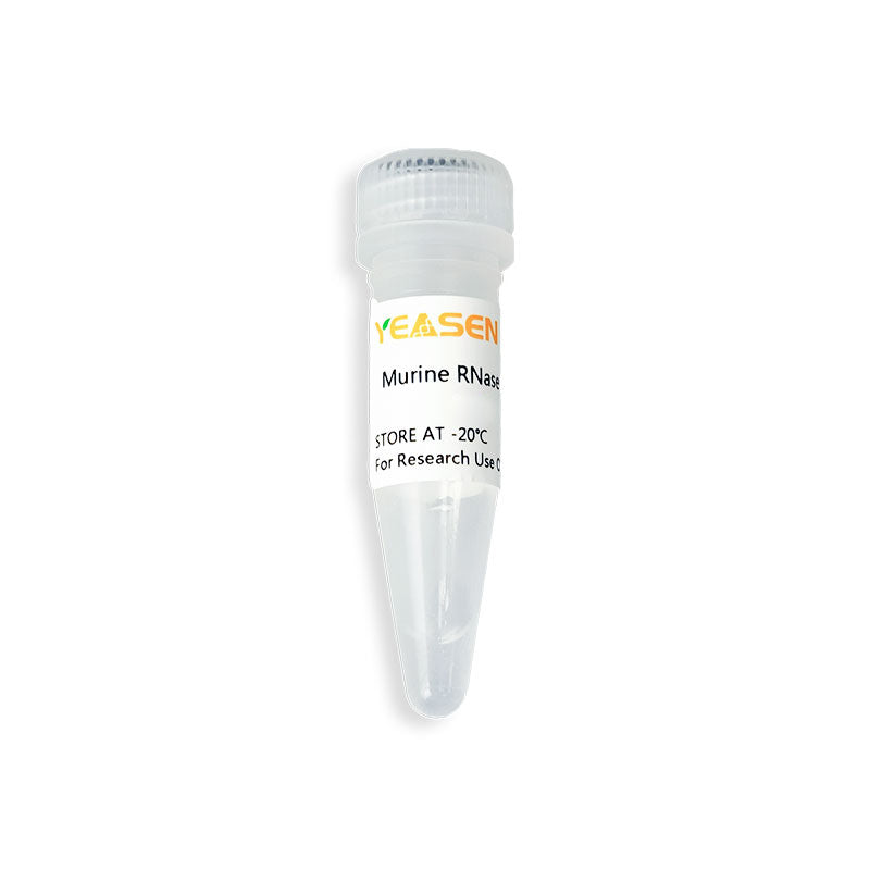 Murine RNase inhibitor (40 U/μL) -10603ES