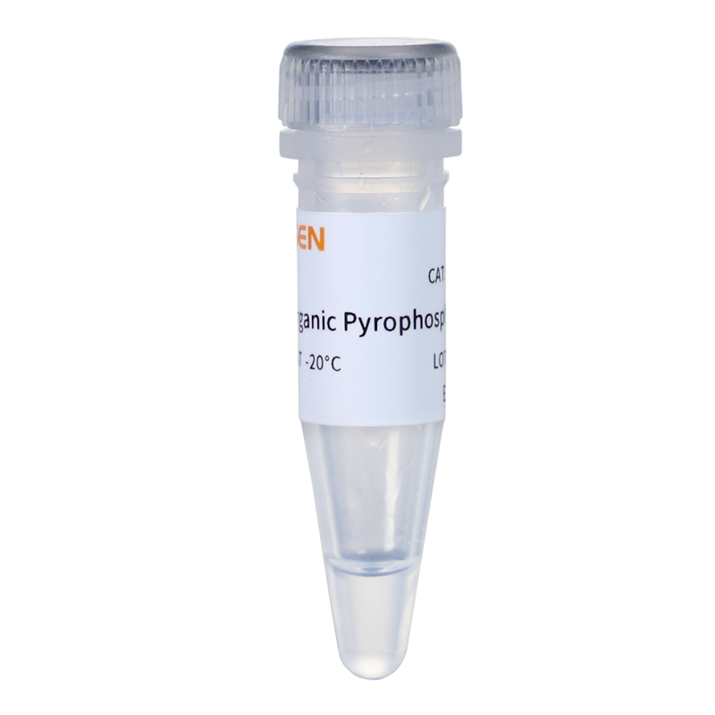 Pyrophosphatase, Inorganic GMP-grade (0.1 U/μL) -10672ES