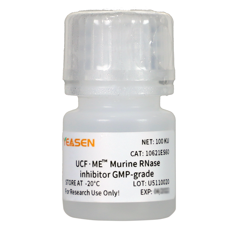 Murine RNase inhibitor GMP-grade (40 U/μL) -10621ES