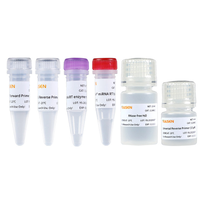 Hifair® miRNA 1st Strand cDNA Synthesis Kit -11148ES
