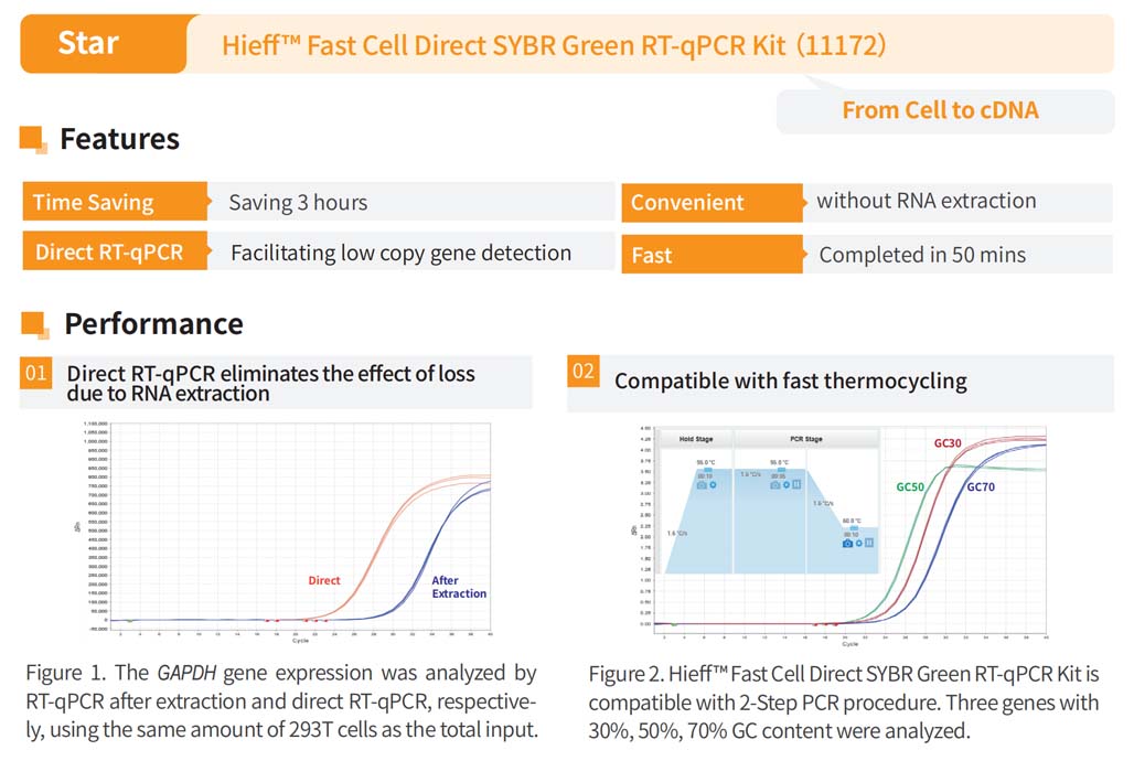 Hieff™  Fast Cell Direct RT-qPCR Kit _11172ES