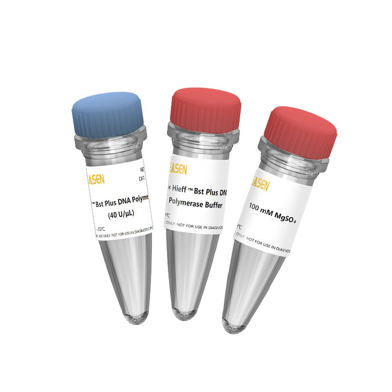 Hieff® Bst Plus DNA Polymerase (40 U/μL) -14402ES