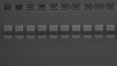 MolPure Cell/Tissue Total RNA Kit -19221ES
