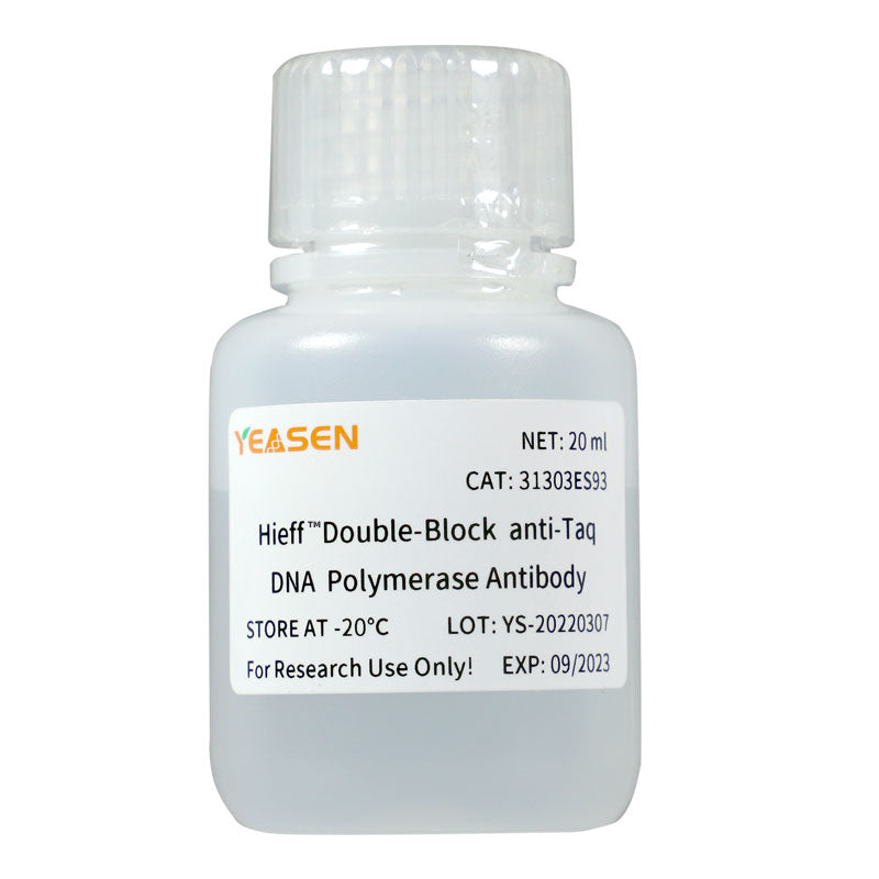 Hieff® Double-Block anti-Taq DNA Polymerase Antibody -31303ES