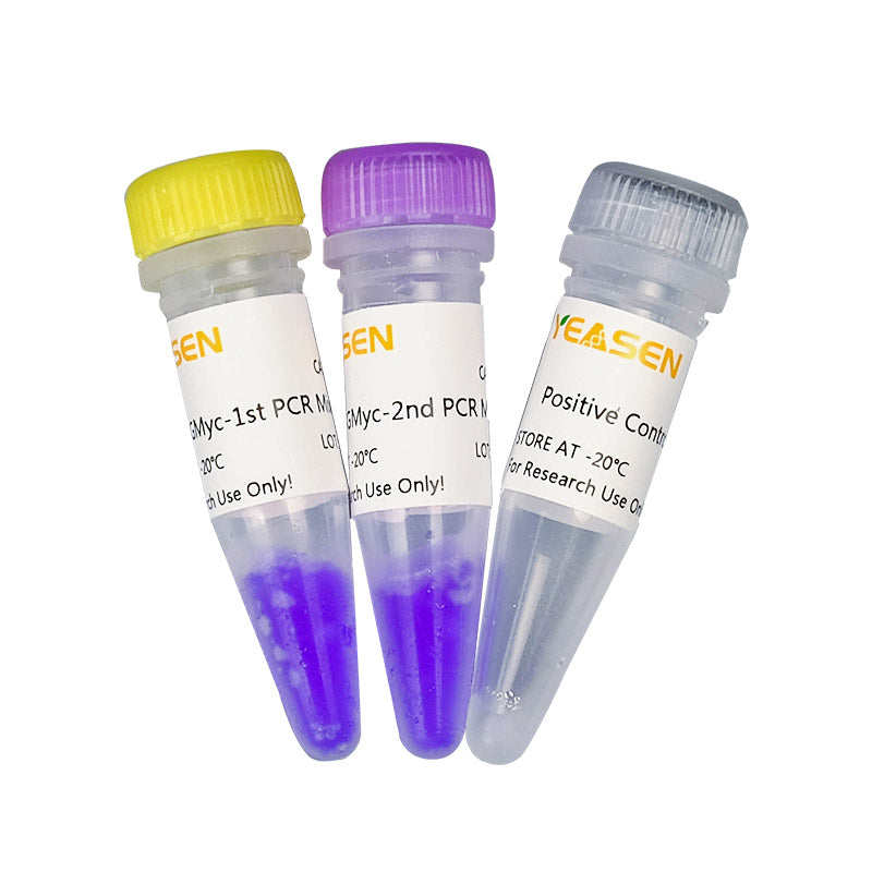 GMyc-PCR Mycoplasma Test Kit  -40601ES