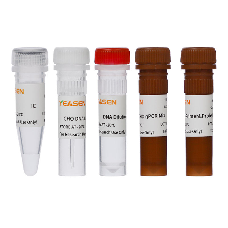 CHO Host Cell DNA Residue Detection Kit (2G) _41305ES