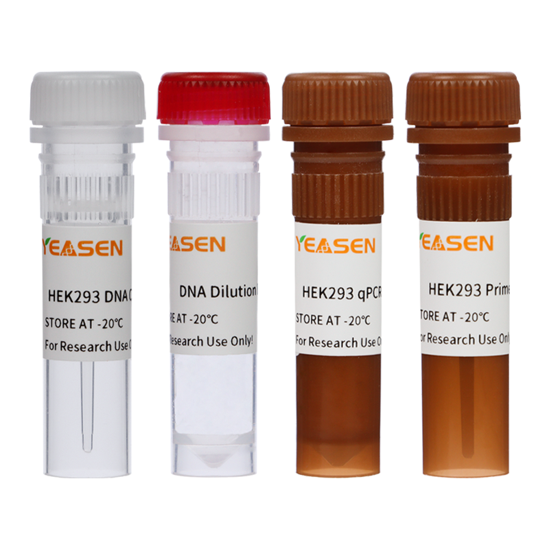 HEK293 Host Cell DNA Residue Detection Kit (2G) _41306ES
