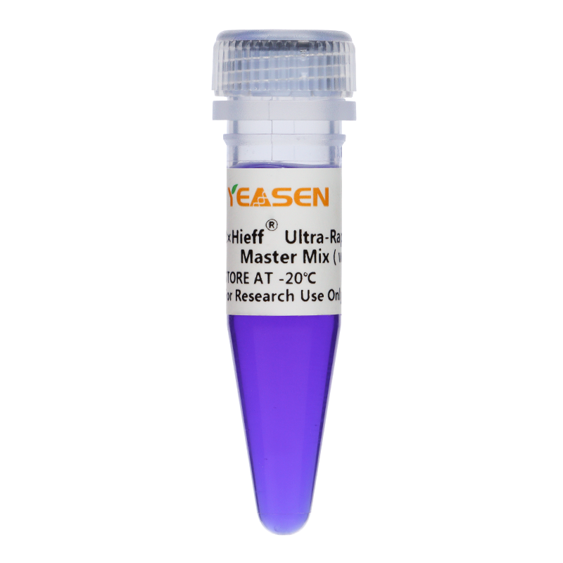 2× Hieff™ Ultra-Rapid HotStart PCR Master Mix (with Dye) -10157ES
