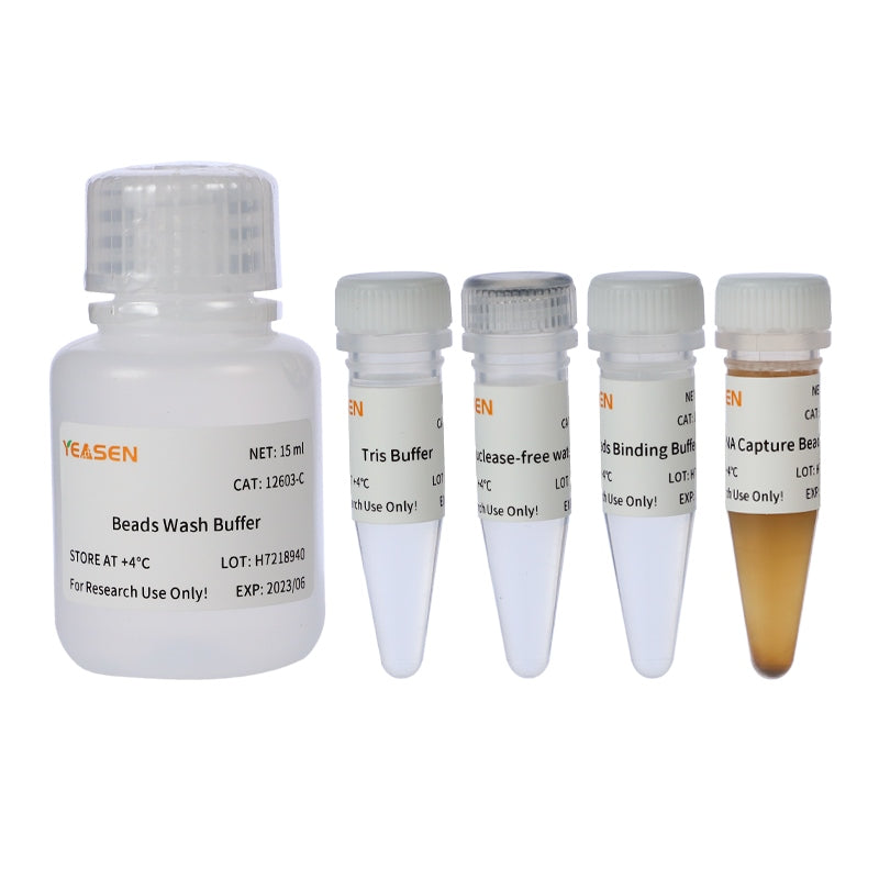 Hieff NGS™ mRNA Isolation Master Kit _12603ES