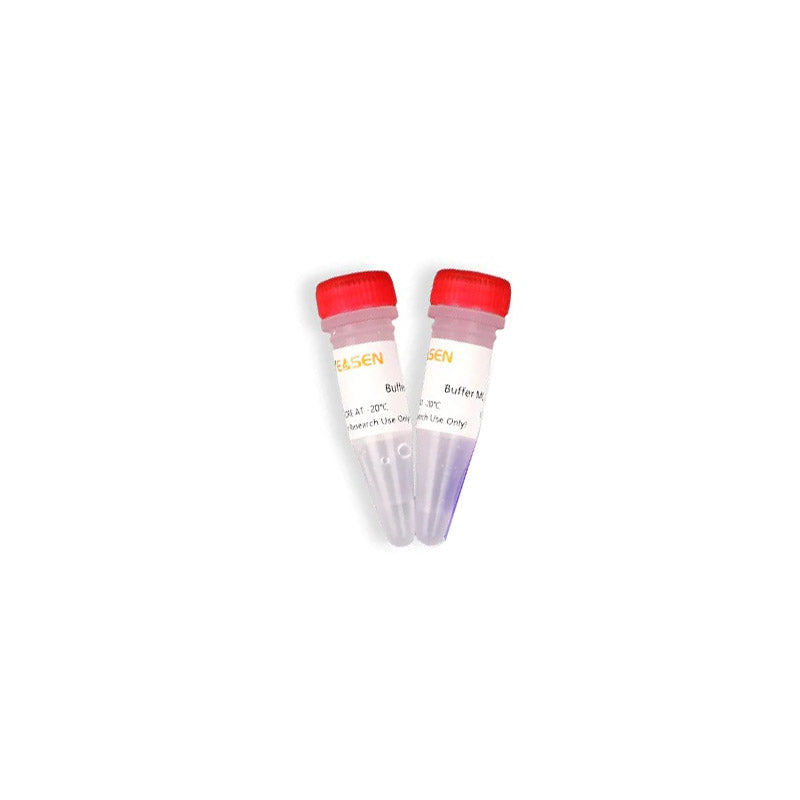 Mouse Tissue/ Cell Lysis Reagent _19697ES