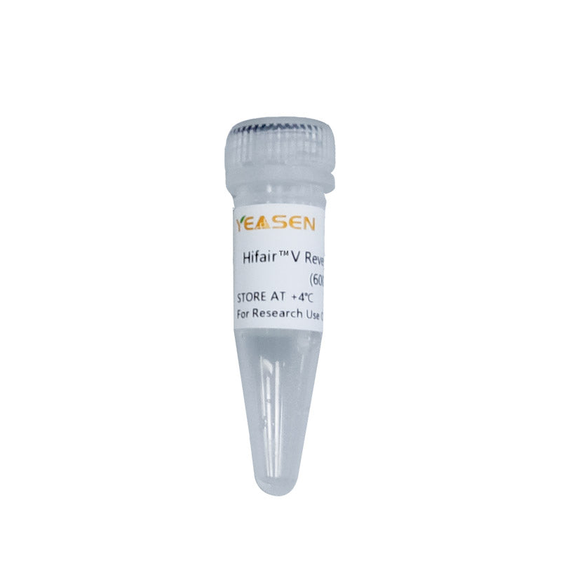 Hifair® V Reverse Transcriptase (600U/μL, Glycerol-free) -11301ES