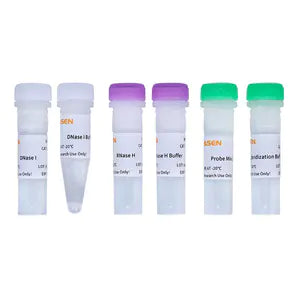 Hieff NGS® MaxUp rRNA Depletion Kit (Plant) -12254ES