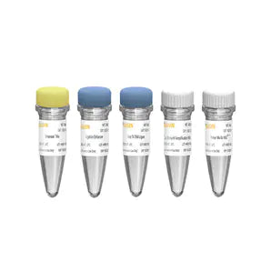 Hieff NGS™ OnePot II DNA Library Prep Kit for MGI -13321ES